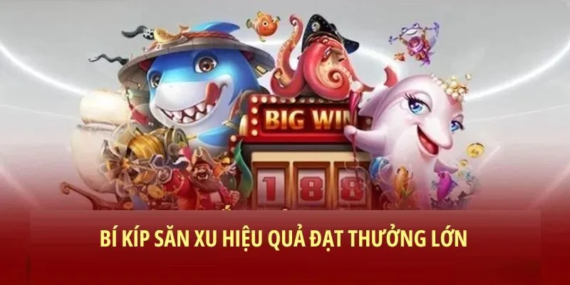 Bí kíp săn xu hiệu quả, đạt thưởng lớn