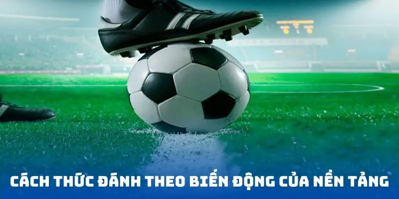 Cách thức đánh theo biến động của nền tảng