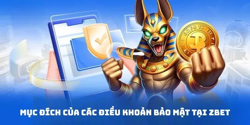 Mục đích của các điều khoản bảo mật tại ZBET