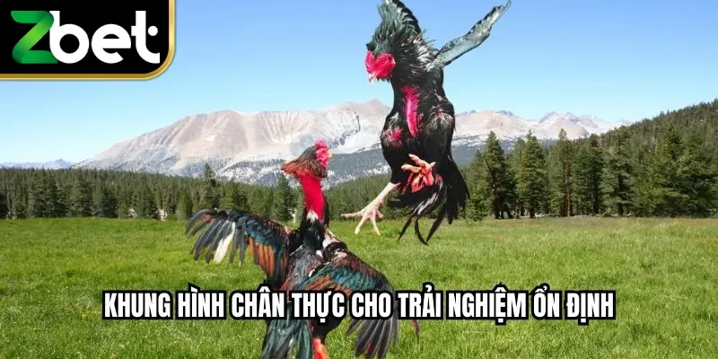Khung hình chân thực cho trải nghiệm ổn định